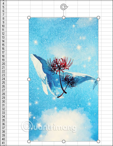 Instructions for cropping images in Excel are very simple Picture 6