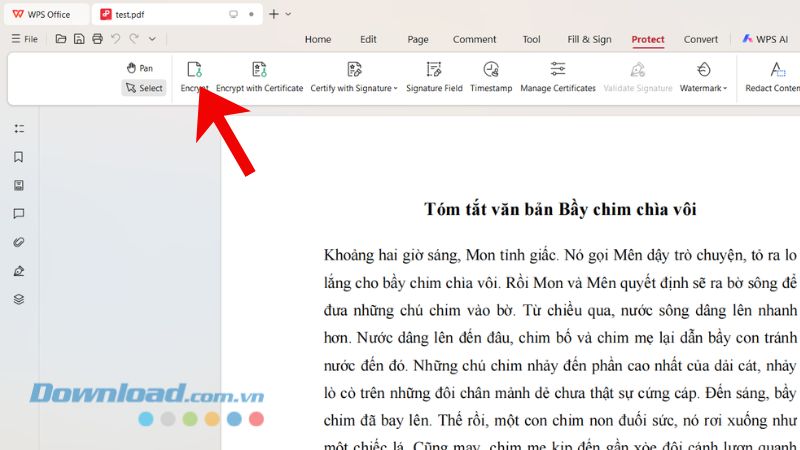 Protect tab in the WPS Office PDF editor
