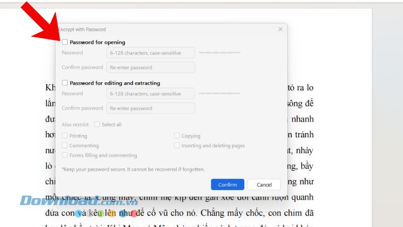 Open-password option in the WPS PDF encryption dialog