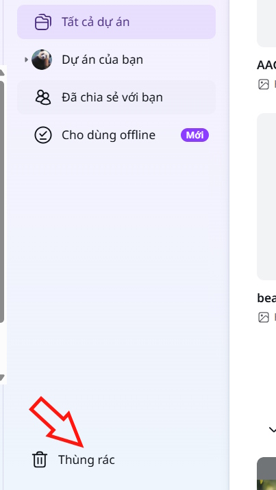 Guide to recovering deleted projects in Canva Picture 3