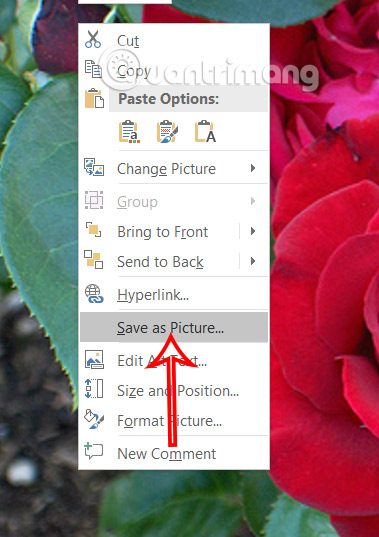 Instructions for saving images from Powerpoint to your computer Picture 1