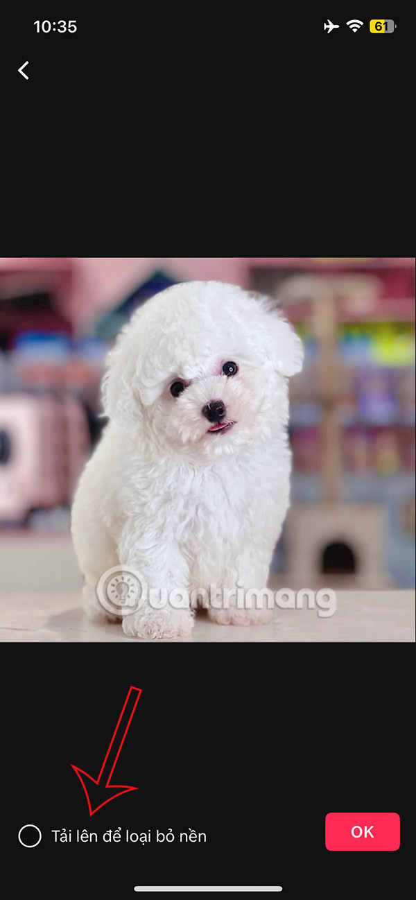 Instructions for separating photo backgrounds and creating stickers right in TikTok Picture 6