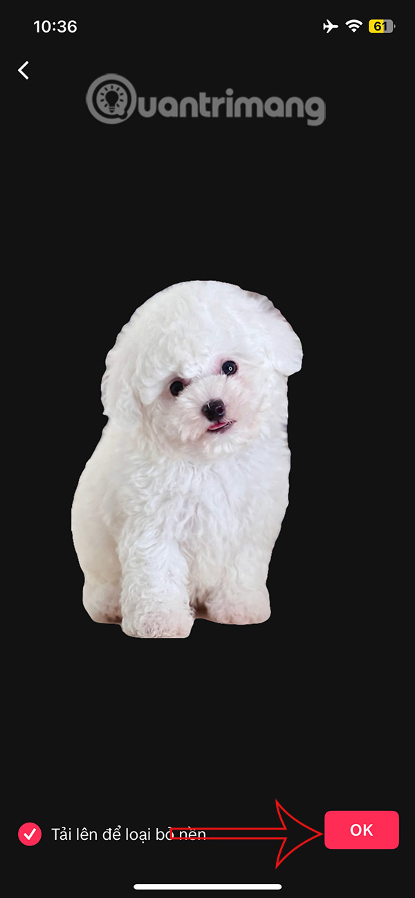 Instructions for separating photo backgrounds and creating stickers right in TikTok Picture 7