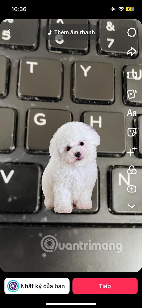 Instructions for separating photo backgrounds and creating stickers right in TikTok Picture 8