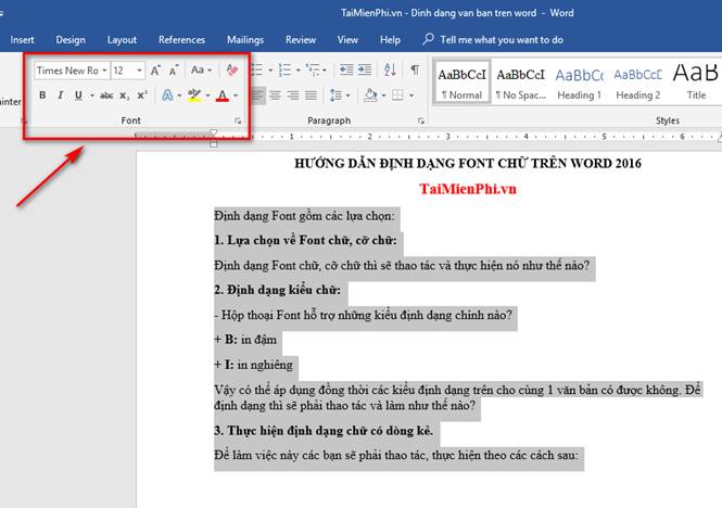 Instructions for standard font formatting on Word Picture 3