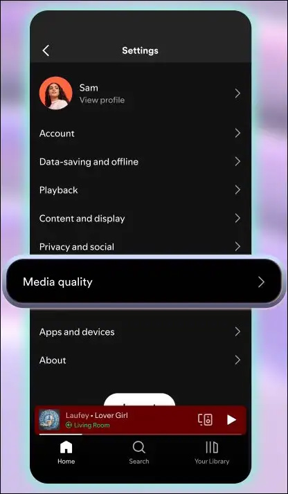 How to enable Lossless audio on Spotify Picture 2
