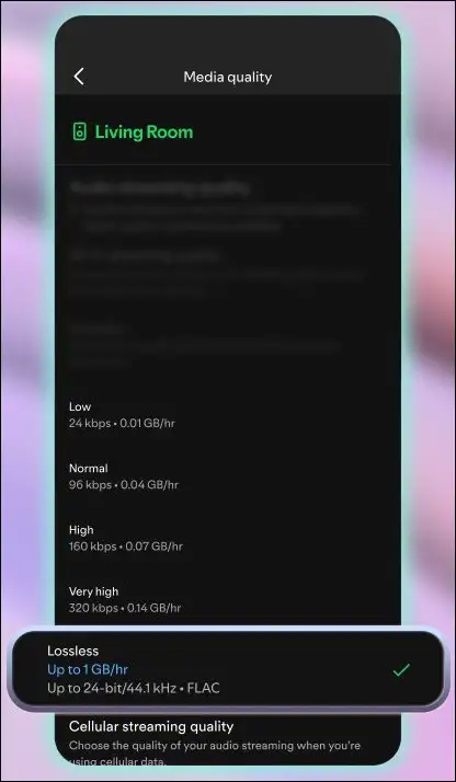 How to enable Lossless audio on Spotify Picture 3