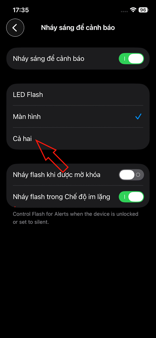 Instructions to turn on iPhone screen flash Picture 6