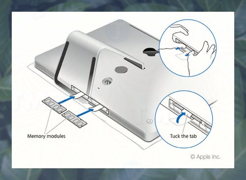 Instructions for upgrading RAM for Mac to increase performance Picture 5