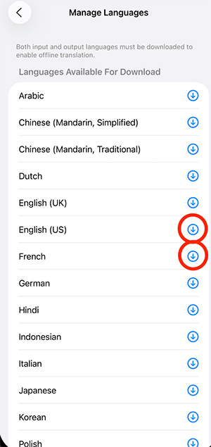 How to use the translation feature in Messages on iPhone Picture 2