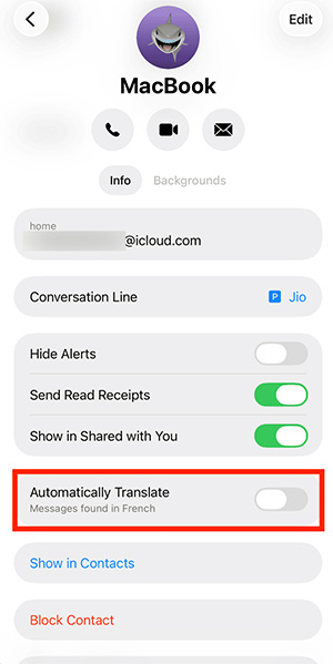 How to use the translation feature in Messages on iPhone Picture 3
