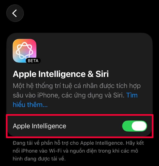 images 3 of Instructions on how to activate Apple Intelligence in Vietnamese on iPhone.