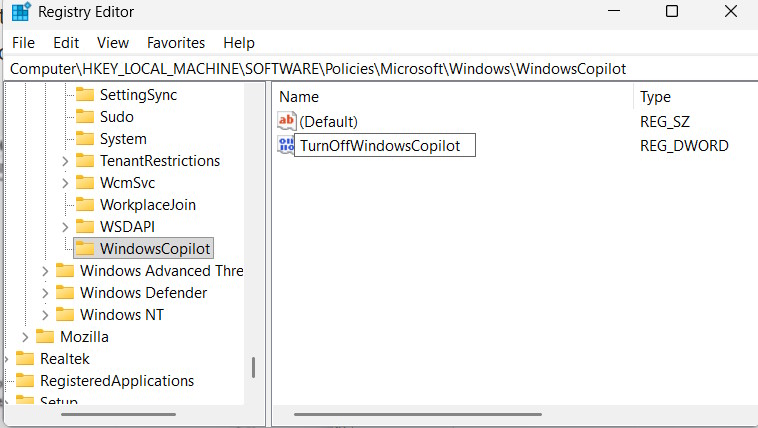 Instructions on how to completely uninstall Copilot on Windows 11 Picture 12