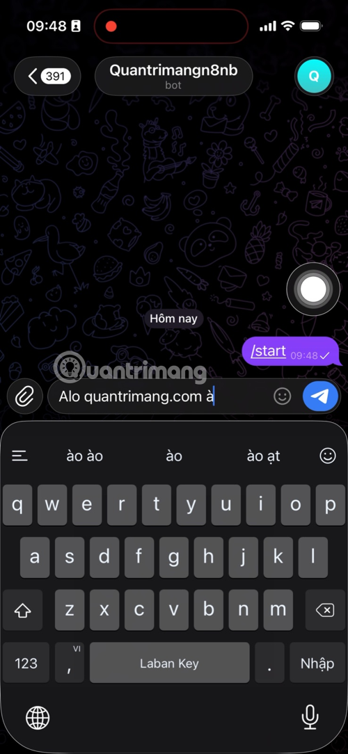 Instructions on how to create a Telegram bot and connect to n8n quickly. Picture 7