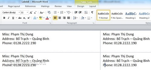 Instructions on how to create Labels, mailing labels in Word 2010 Picture 6
