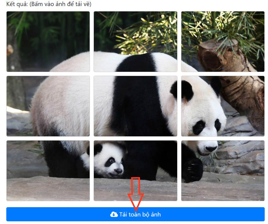Instructions on how to quickly cut an image into two parts. Picture 4