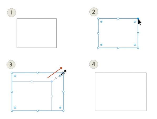 Picture 2 of Instructions on how to resize, position, rotate, and flip images in Adobe Illustrator.
