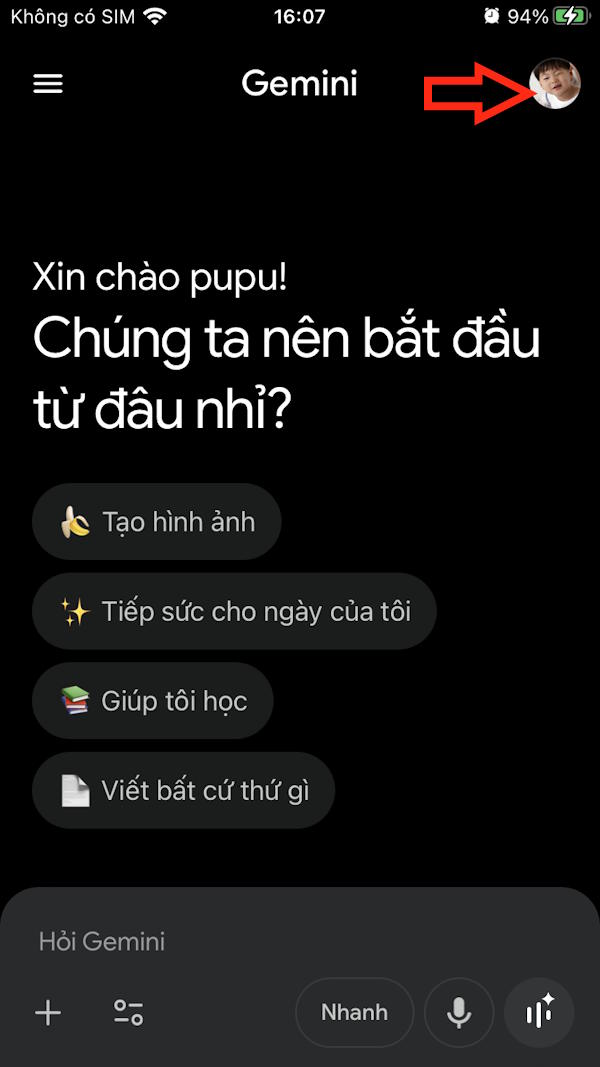 Gemini chat sharing guide Picture 7