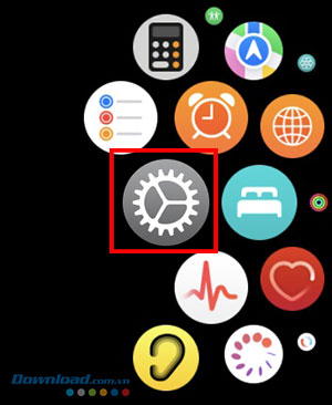 images 3 of Instructions on how to take a screenshot on Apple Watch