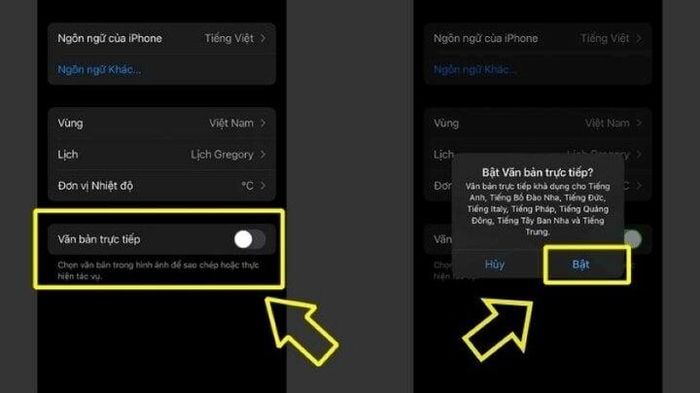 Instructions on how to translate any language using iPhone very simply Picture 1