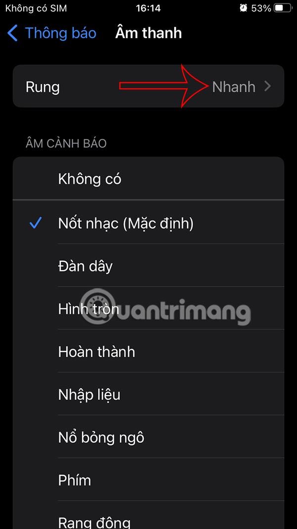 Instructions to enable message vibration on iPhone Picture 6