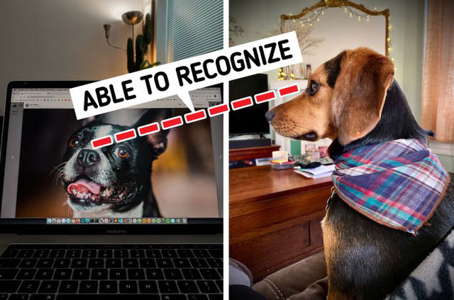 Interesting knowledge that you never expected Picture 3