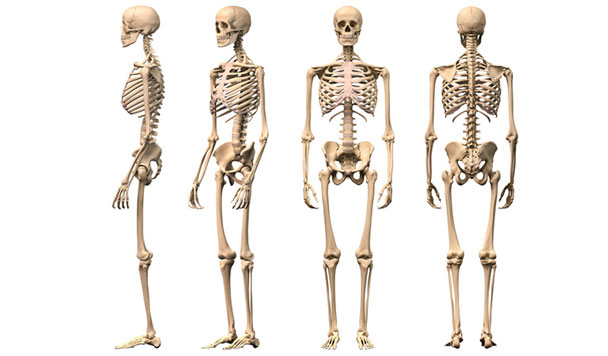 Interesting knowledge that you never expected Picture 8