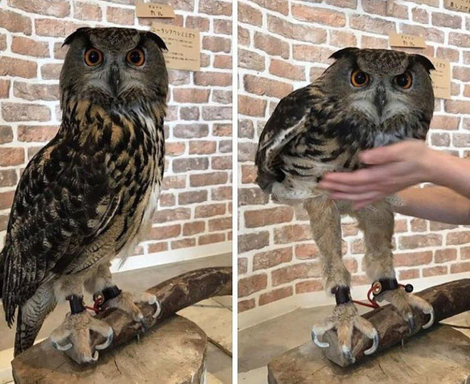 Interesting photo series to help you understand how the world around us works? Picture 18