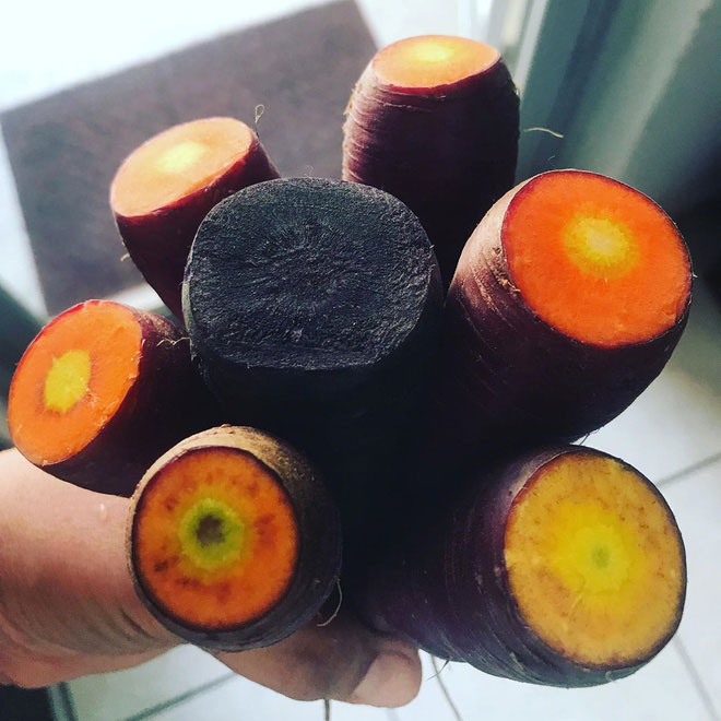 Interesting photo series to help you understand how the world around us works? Picture 21