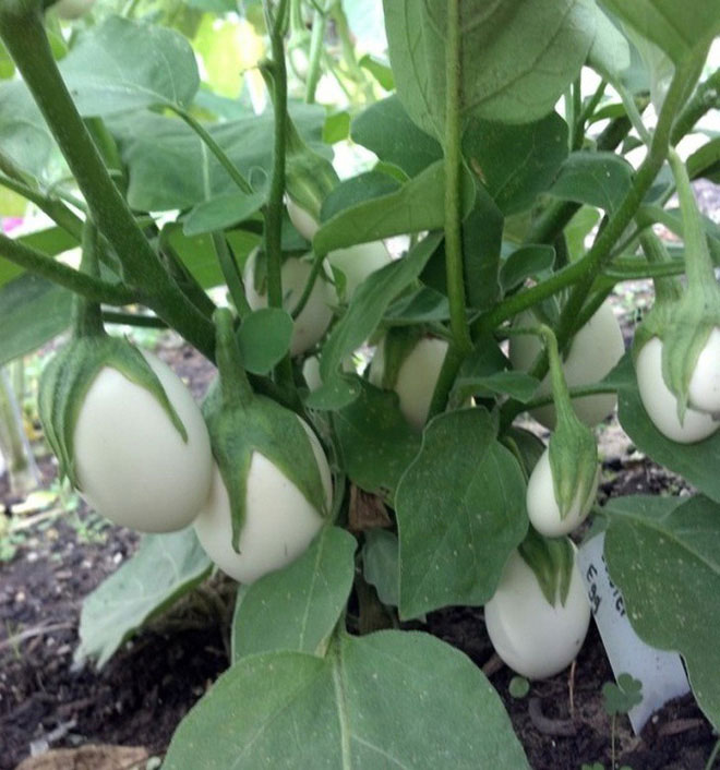 Interesting photo series to help you understand how the world around us works? Picture 29