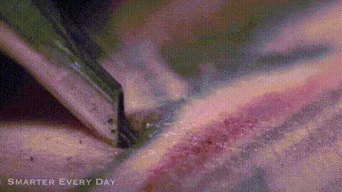 Interesting photo series to help you understand how the world around us works? Picture 5