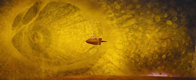 Internet of beings: Dream of digitizing the human body to improve health or nightmare of humanity? Picture 3