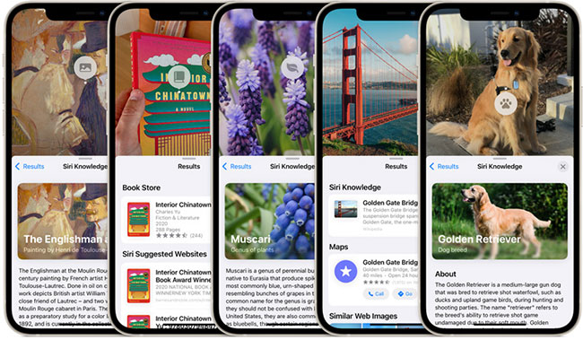 iOS 15.5: Only some minor improvements, mainly patching security holes Picture 14