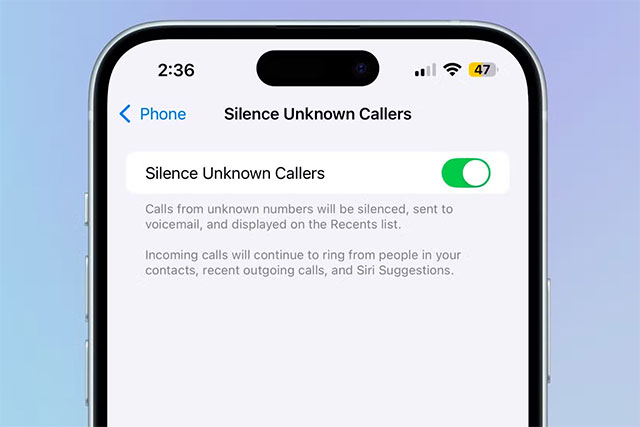 How will iOS 26 'kill' spam calls and messages? Picture 5