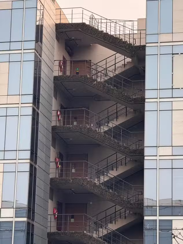 iPhone 16 Pro vs Pixel 9 Pro Camera Comparison Picture 12