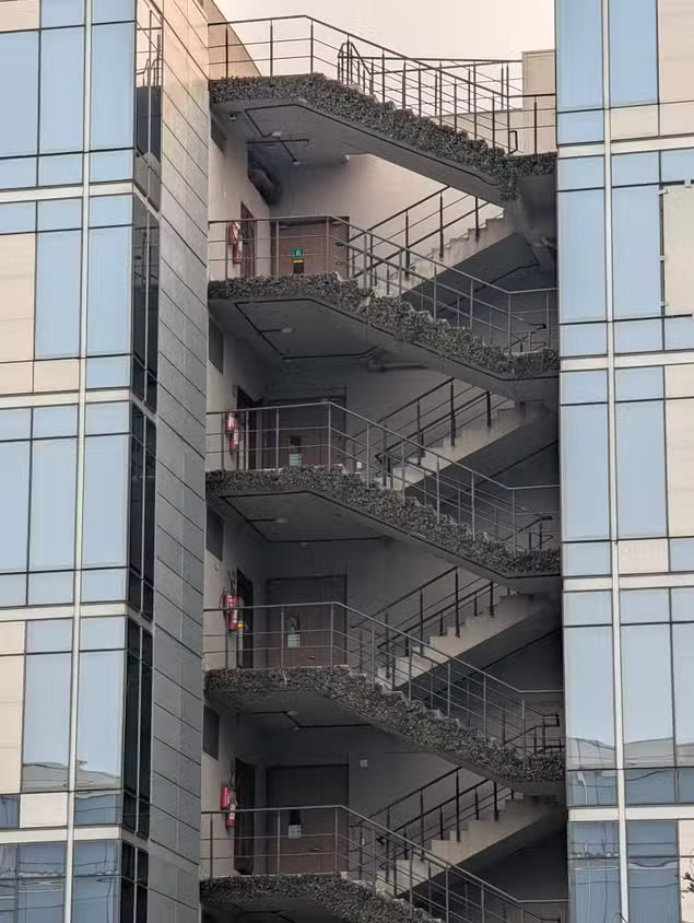 iPhone 16 Pro vs Pixel 9 Pro Camera Comparison Picture 13