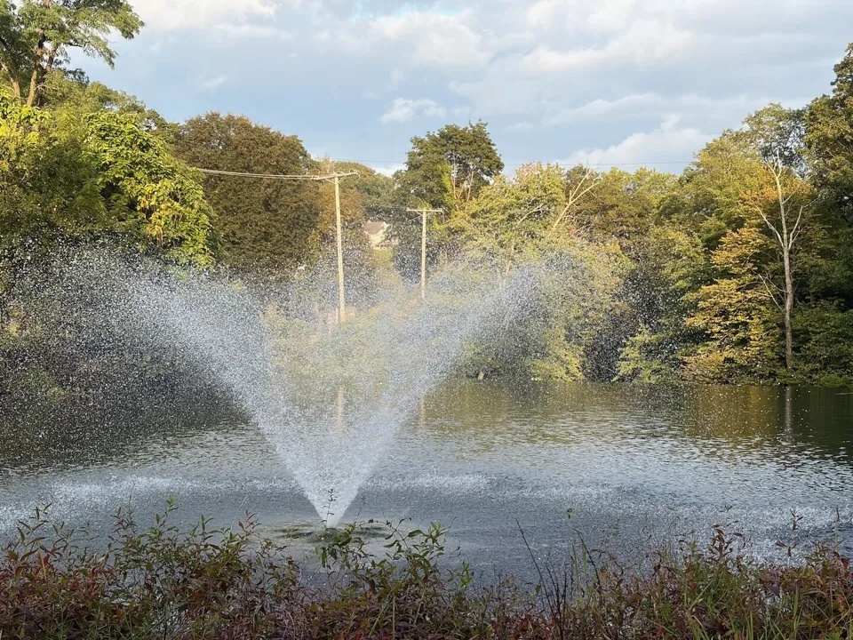 iPhone 17 details Picture 9