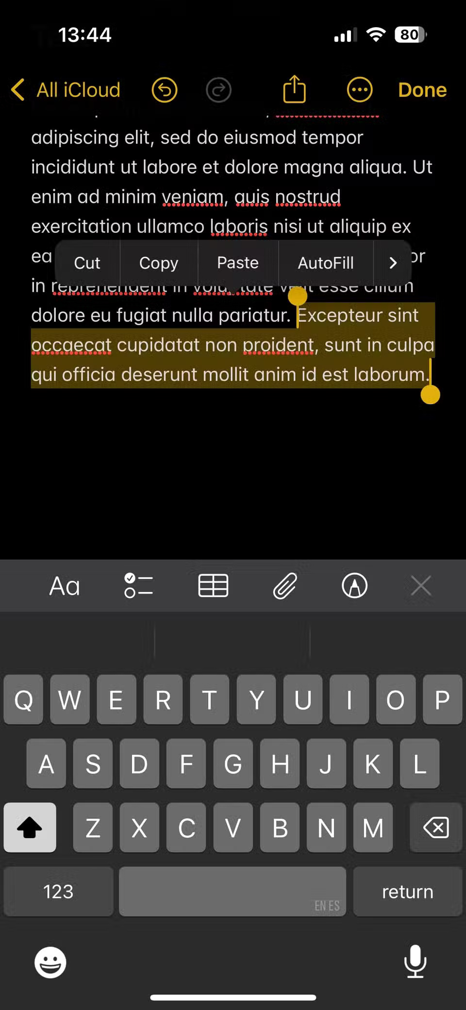 iPhone Has Hidden Trackpad: Have You Tried It? Picture 4