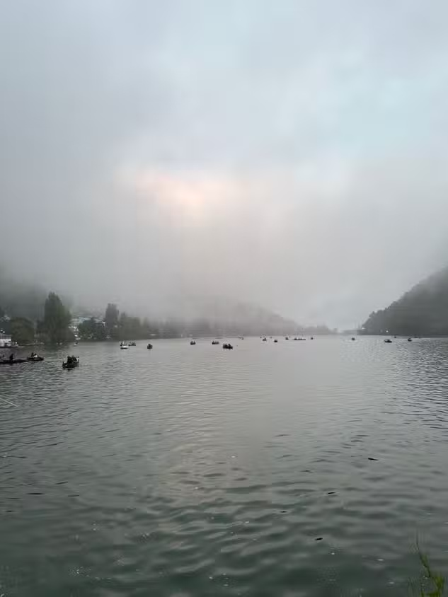 iPhone's Clean Up or Google's Magic Editor is better at removing objects? Picture 9