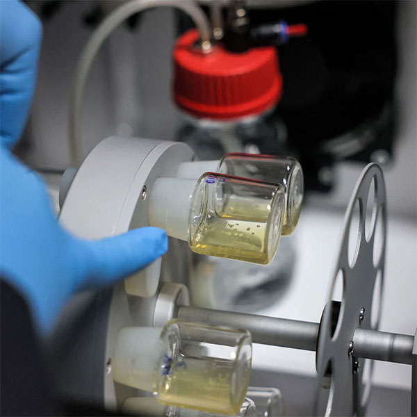 Japan officially approves creation of human embryos from stem cells Picture 1