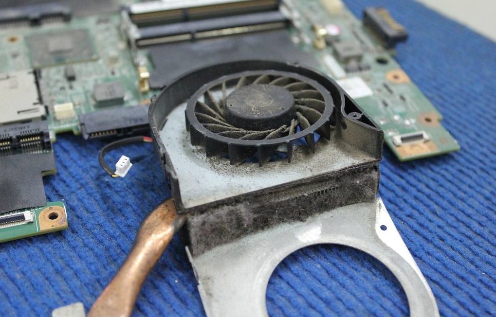 Laptop makes buzzing noise? What is the cause and how to fix it? Picture 2