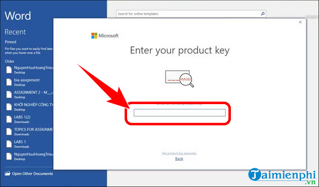 Latest free Office 2019 Professional Plus key 2024 Picture 1
