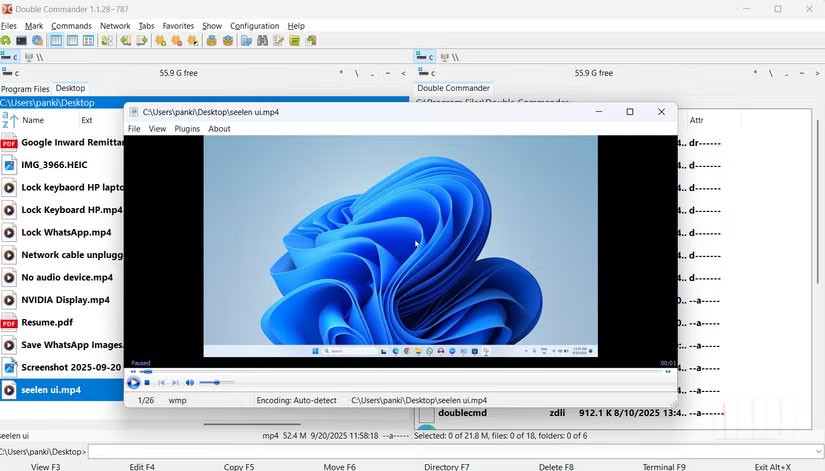 Meet Double Commander: The Free Open Source File Browser That Beats Windows File Explorer Picture 1