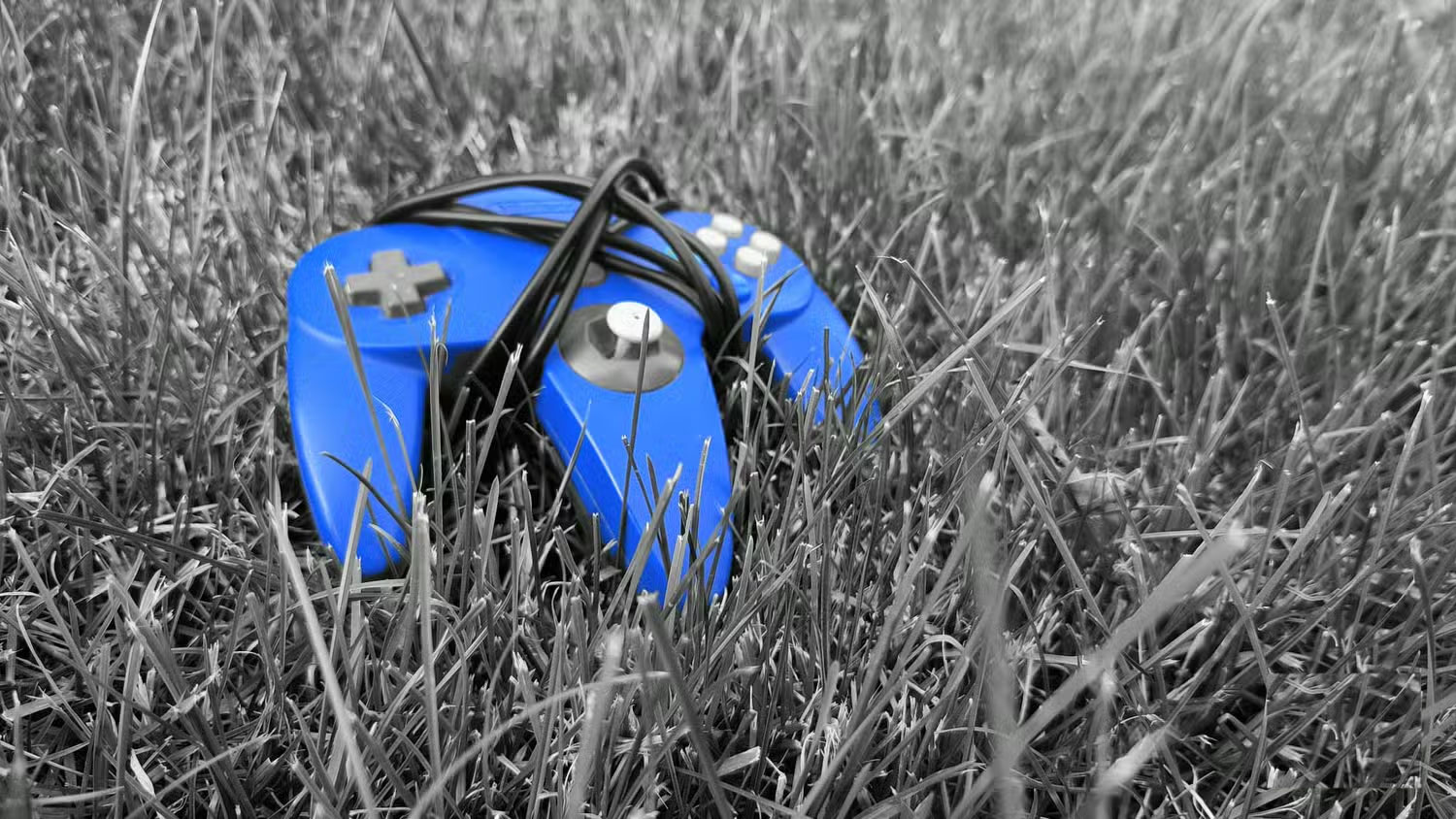 Learn About Spot Color: The Hidden Phone Feature That Makes Photos Pop Picture 5