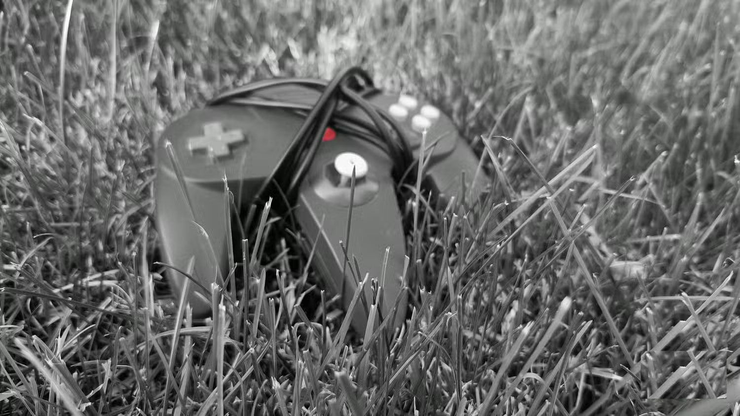 Learn About Spot Color: The Hidden Phone Feature That Makes Photos Pop Picture 6