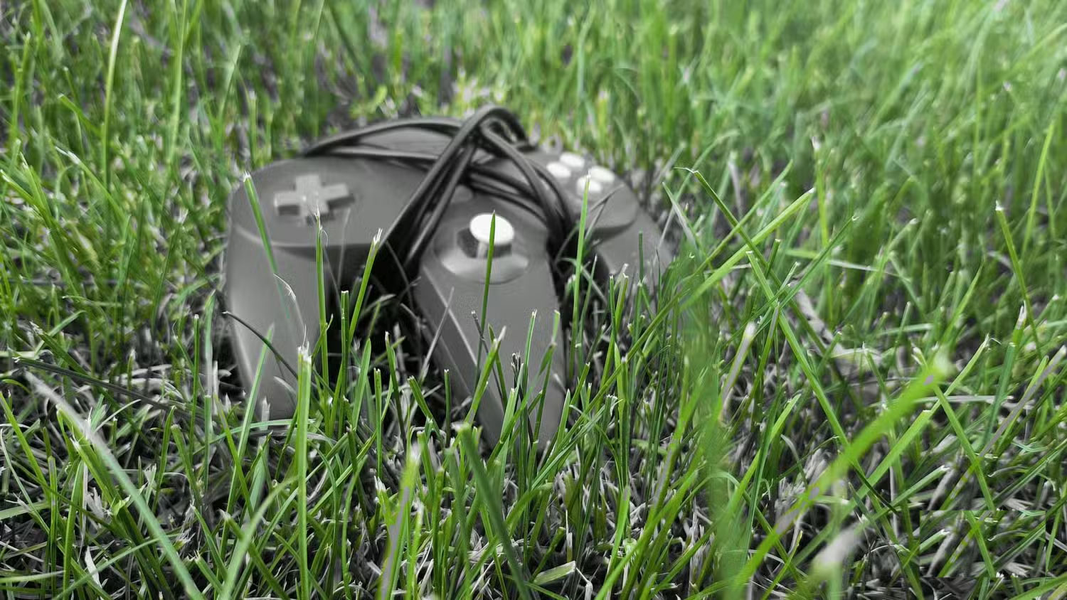 Learn About Spot Color: The Hidden Phone Feature That Makes Photos Pop Picture 7