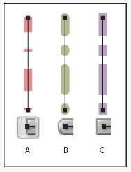 Picture 9 of Learn about Stroke in Illustrator