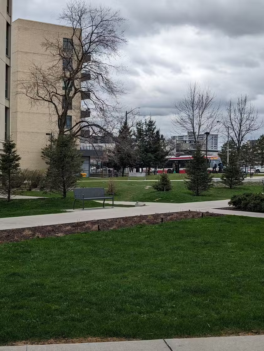 Learn about the Generative Erase feature of the Windows Photos application Picture 5