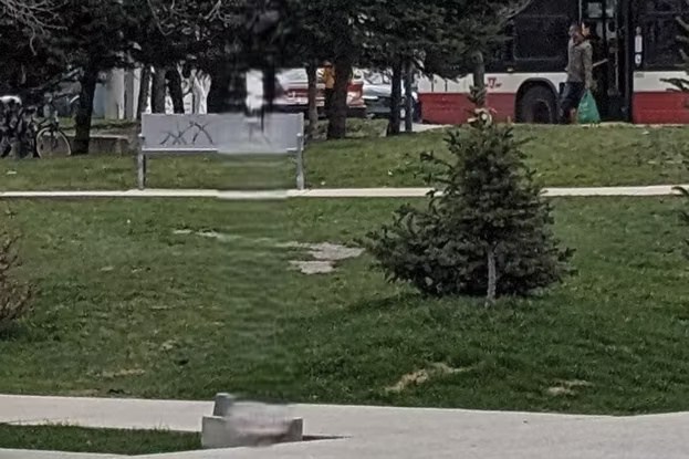 Learn about the Generative Erase feature of the Windows Photos application Picture 7