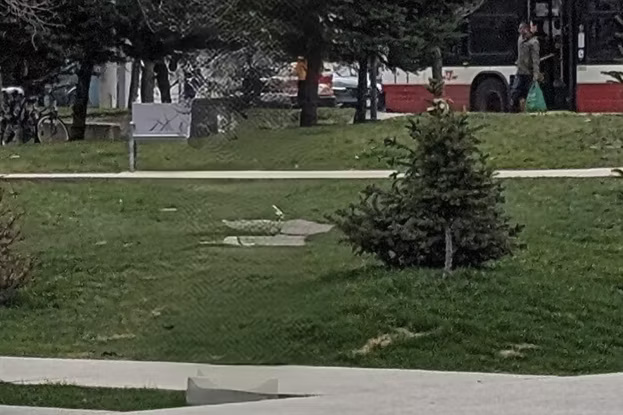 Learn about the Generative Erase feature of the Windows Photos application Picture 8